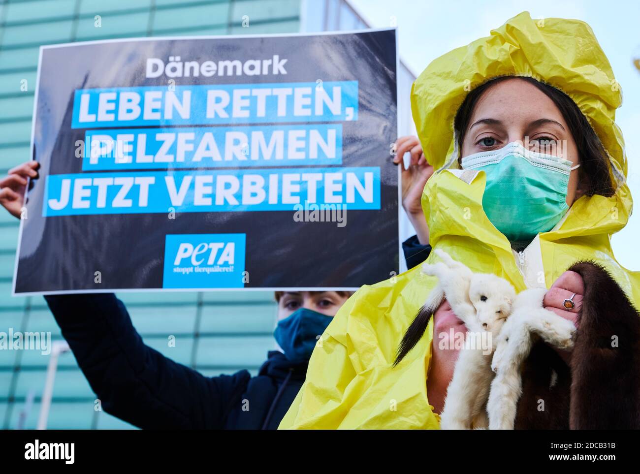 Berlin, Deutschland. November 2020. "Leben retten, Pelzfarm jetzt verbieten" steht auf einem Schild, das einen Demonstrator vor der dänischen Botschaft zeigt. Eine andere Aktivistin hält tote Nerze in ihren Händen, trägt einen Schutzanzug und einen Mund-Nase-Wächter. Die Tierrechtsorganisation Peta fordert ein Verbot der Pelzzucht in Dänemark. Hintergrund sind die Mutationen des Corona-Virus in dänischen Nerzbetrieben. PETA: "Pelzfarmen bedrohen die Gesundheit aller Lebewesen". Quelle: Annette Riedl/dpa/Alamy Live News Stockfoto