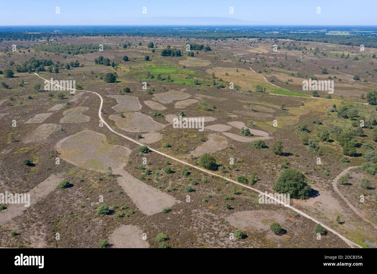 heide Landschaft mit geplagten Gebieten, Luftaufnahme, Niederlande, Overijssel, Sallandse Heuvelrug National Park Stockfoto