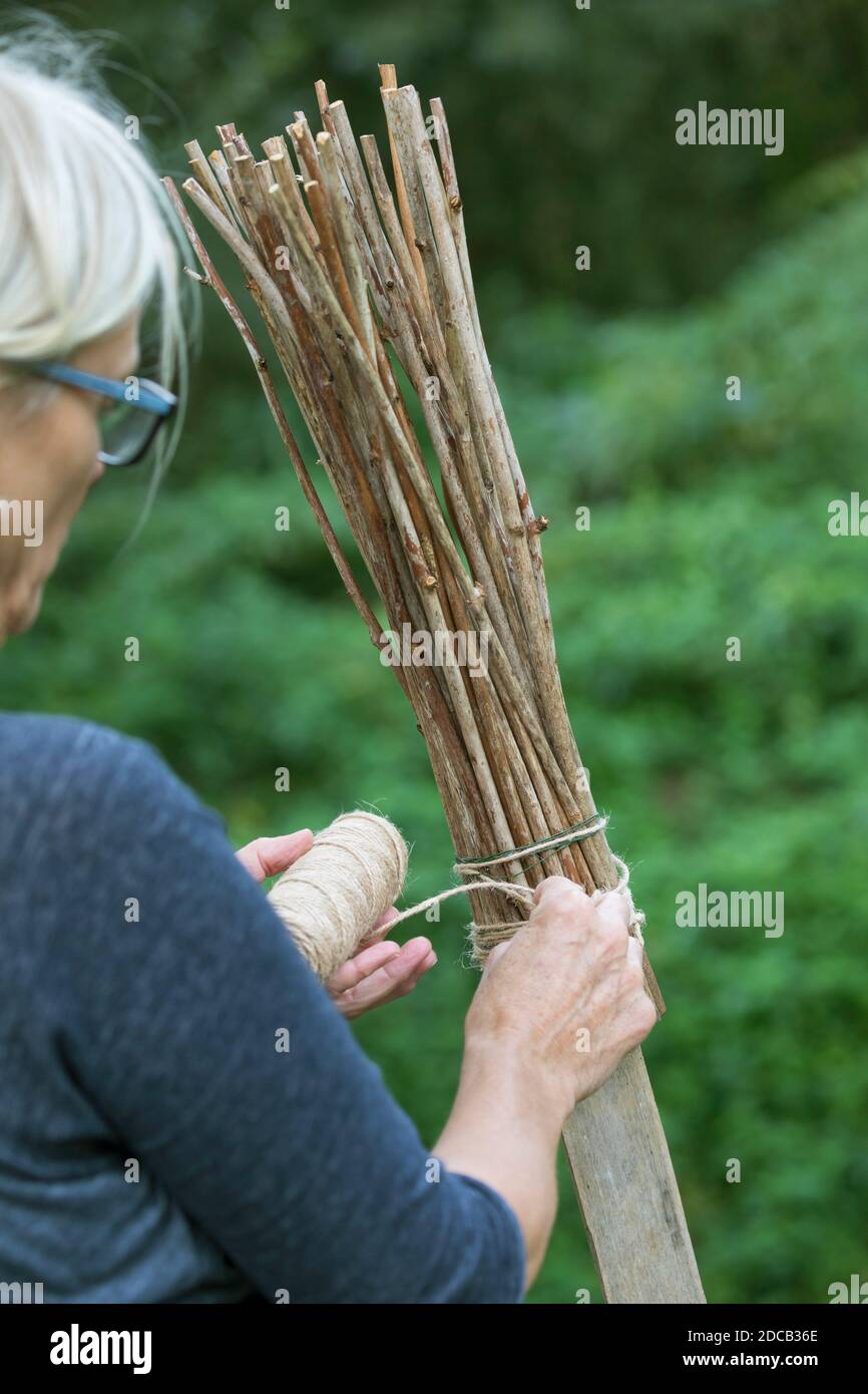 Frau, die eine Wildbienennisthilfe mit stacheligen Stielen macht, Deutschland Stockfoto