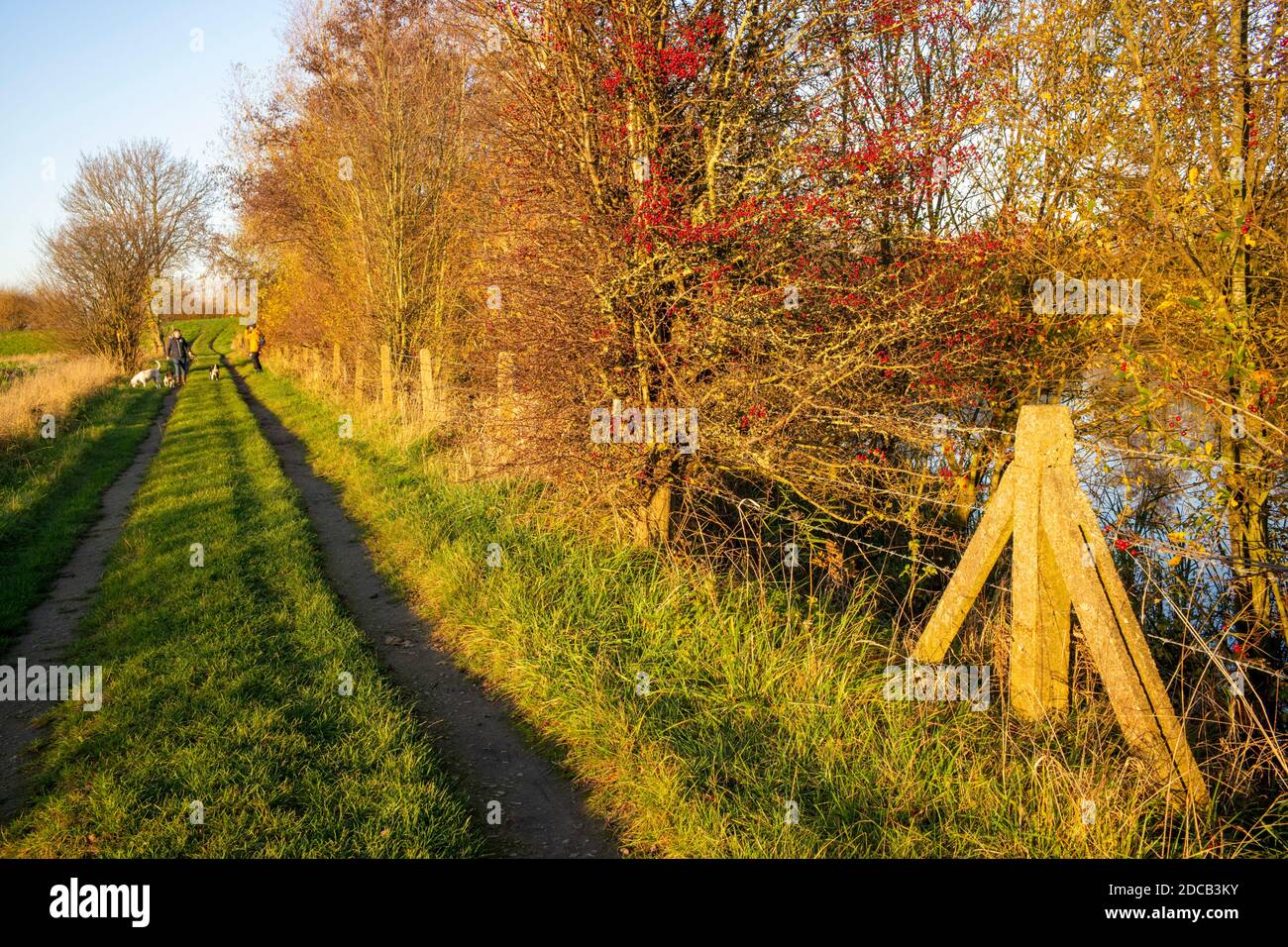 Training während Lock-Down, Thomas Wolsey Walk, Cawood, North Yorkshire, Großbritannien Stockfoto