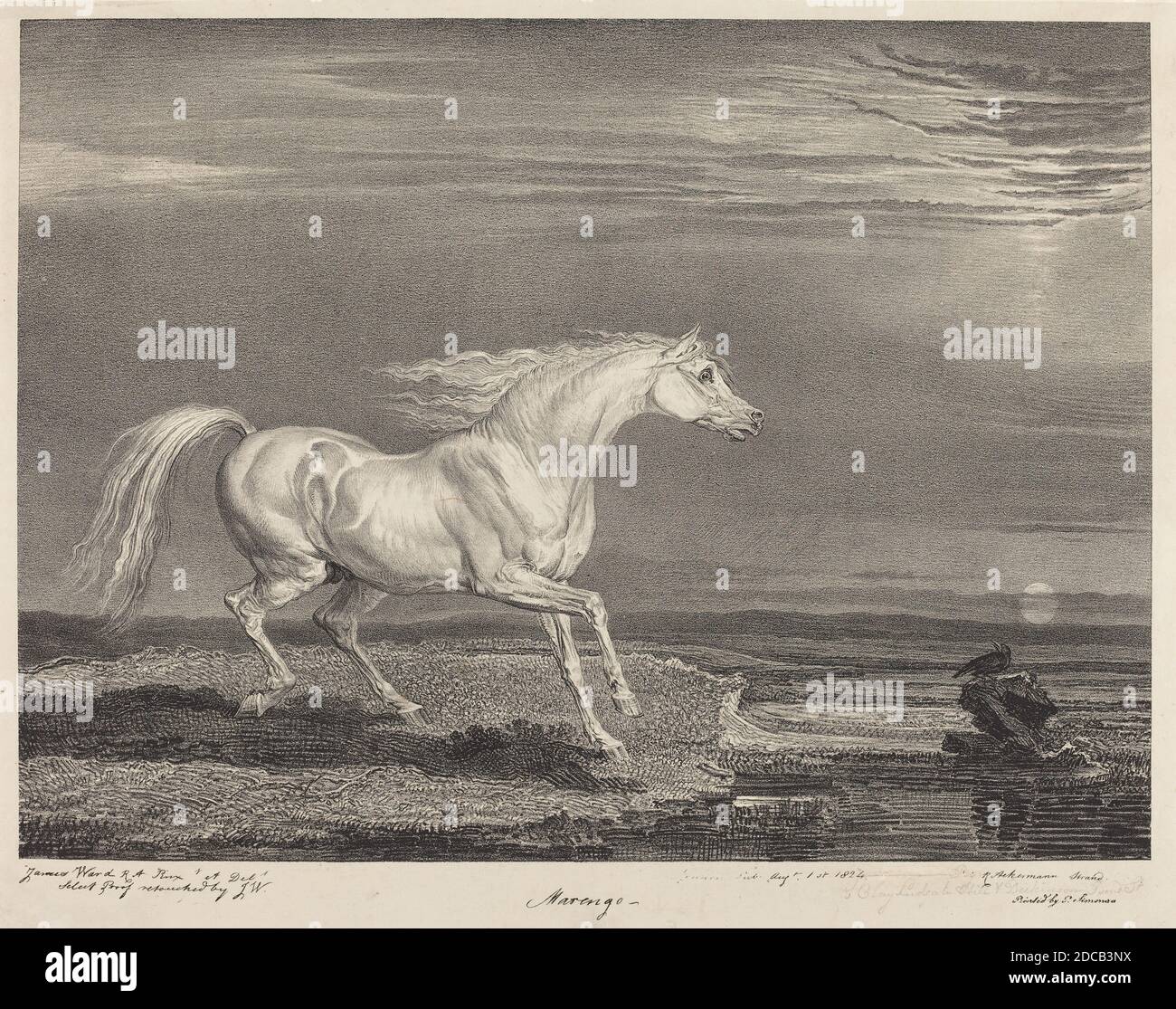 James ward, (Künstler), Brite, 1769 - 1859, Marengo, vierzehn gefeierte Pferde: Nr.6, (Serie), 1824, Lithographie auf Chine-Applikation, Bild: 33.8 x 44.6 cm (13 5/16 x 17 9/16 Zoll), Blatt: 48.6 x 62.7 cm (19 1/8 x 24 11/16 Zoll), Matte: 55.9 x 71.1 cm (22 x 28 Zoll) Stockfoto