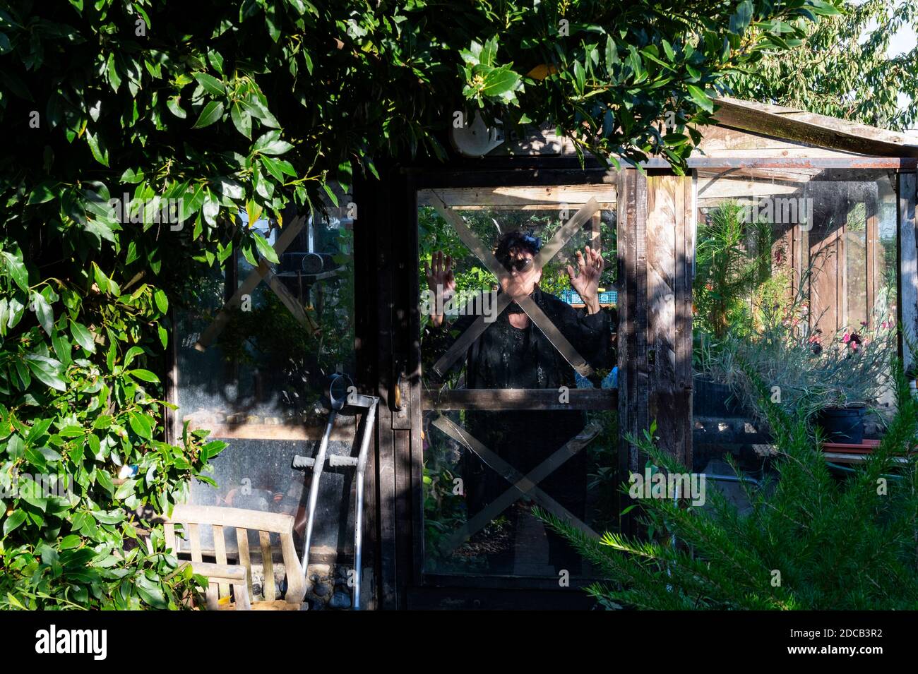 Frau in ihrem Garten isoliert sich während der Covid-19-Sperre Stockfoto