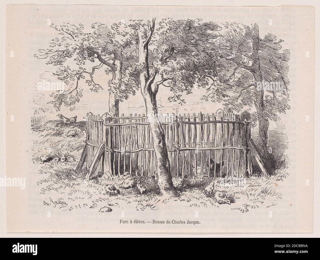 Parc &#xe0; &#xe9;l&#xe8;Ves; von Magasin Pittoresque, ca. 1852. Stockfoto