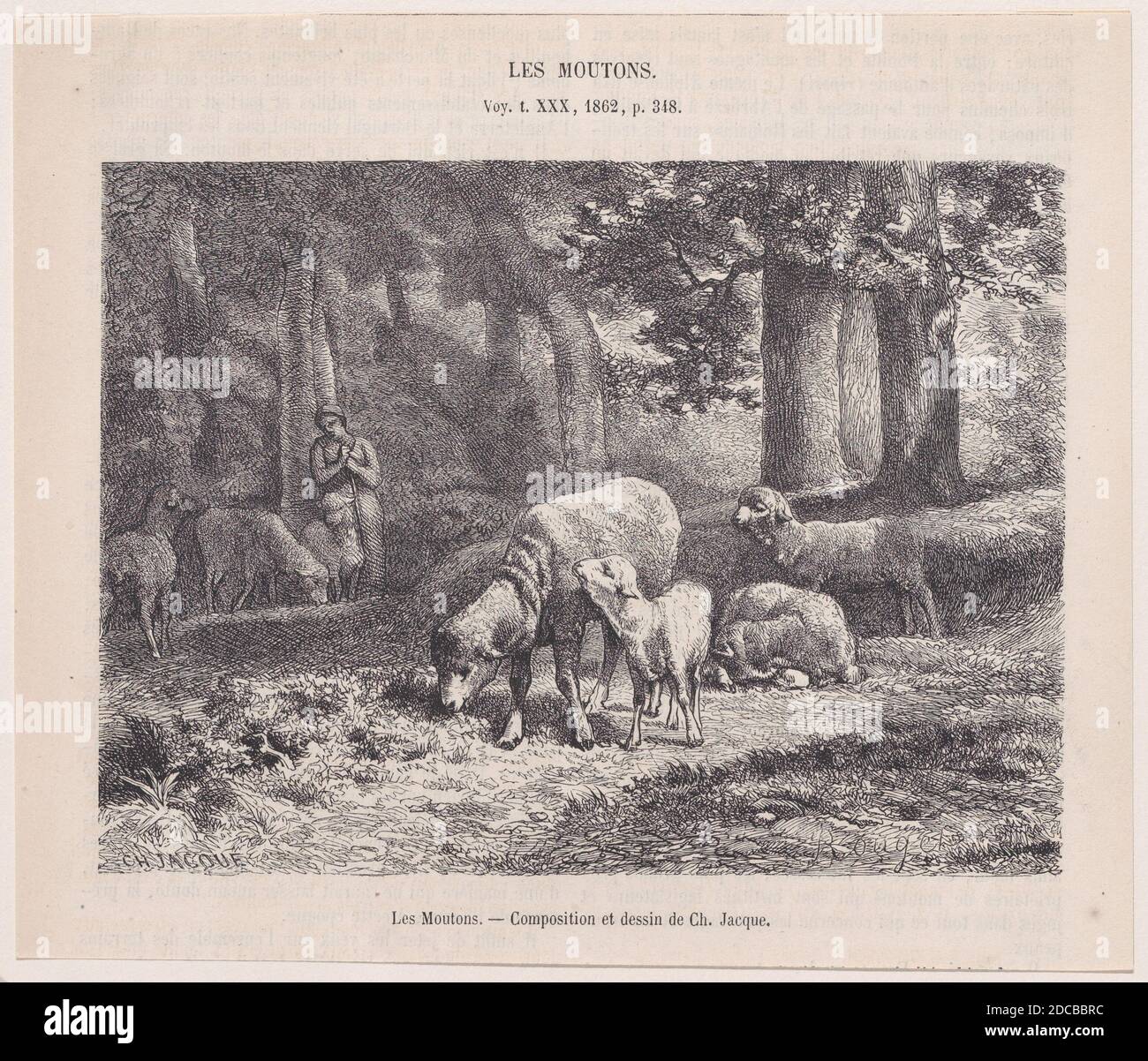 Les Moutons; aus Magasin Pittoresque, 1862. Stockfoto
