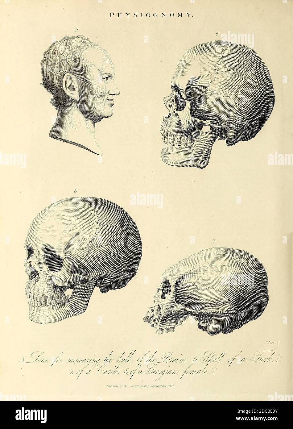 Physiognomie ist die Praxis der Beurteilung einer Person Charakter oder Persönlichkeit aus ihrer äußeren Erscheinung vor allem das Gesicht. Der Begriff kann sich auch auf das allgemeine Erscheinungsbild einer Person, eines Objekts oder eines Geländes beziehen, ohne auf seine impliziten Eigenschaften Bezug zu nehmen. Die Glaubwürdigkeit einer solchen Studie hat sich verändert. Die Praxis wurde von den antiken griechischen Philosophen gut angenommen, fiel aber im Mittelalter in Verruf, wenn sie von Vagabunden und Bergbanken praktiziert wurde. Es wurde dann von Johann Kaspar Lavater wiederbelebt und popularisiert, bevor es im späten 19. Jahrhundert wieder aus der Gunst fiel. Physiognomie wie in der verstanden Stockfoto