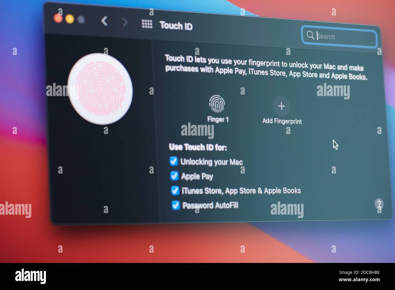 New york, USA - 20. November 2020: Hinzufügen von Touch-id-Informationen auf dem Bildschirm Laptop Nahaufnahme Stockfoto
