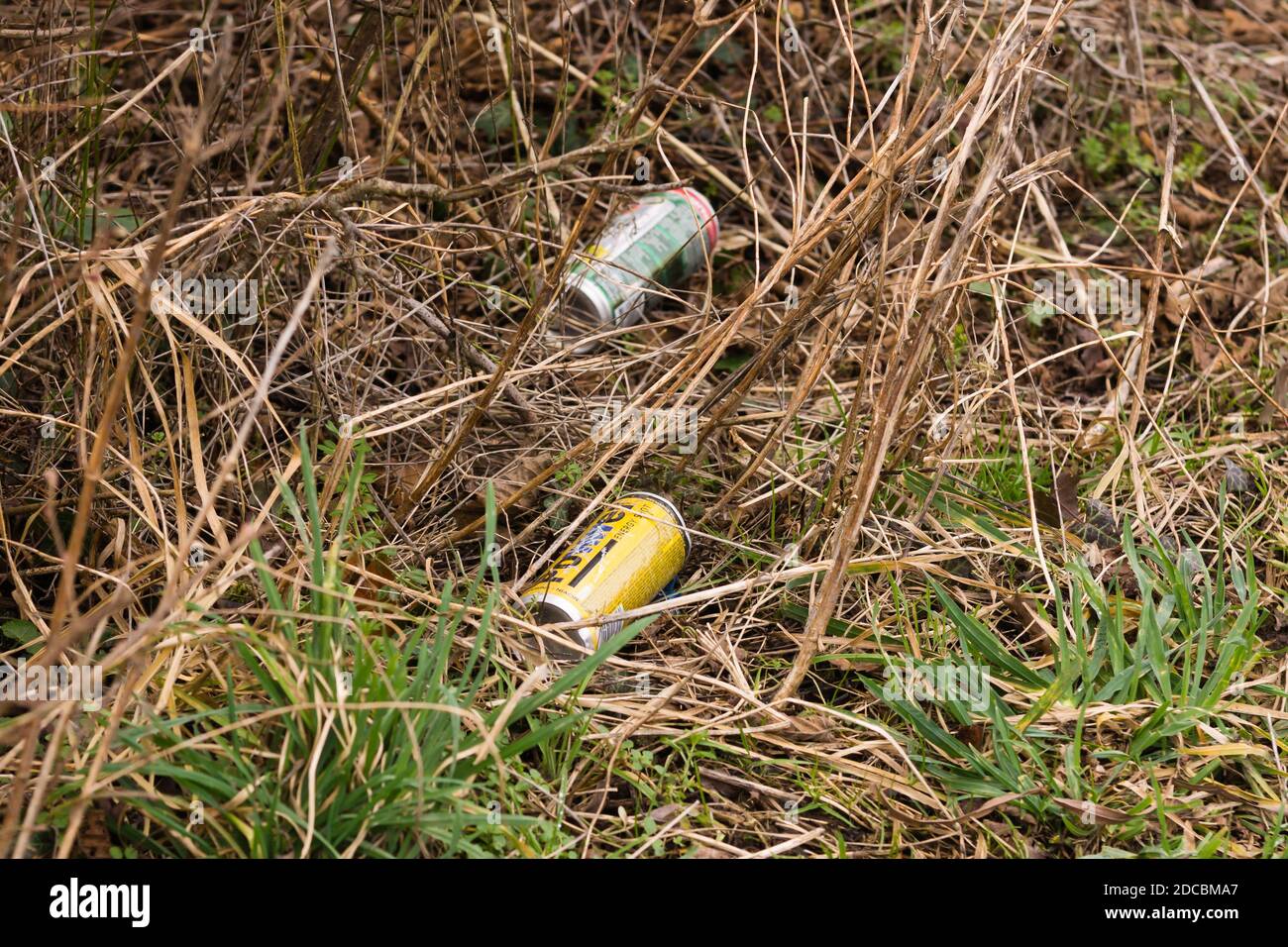 Ausrangierte Getränkedosen, die auf einer Landstraße in der abgelassen wurden Das Vereinigte Königreich ist ein Beispiel für die unvorsichtige Entsorgung von Lebensmittelabfällen Stockfoto