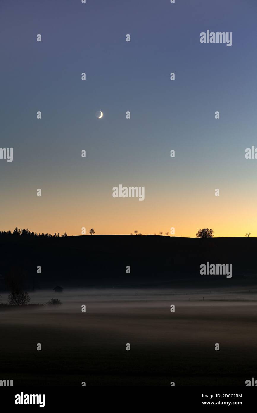 Nacht und Nebel kriechen über dem Moos und der Mond ist am farbigen Himmel aufgegangen. Stockfoto