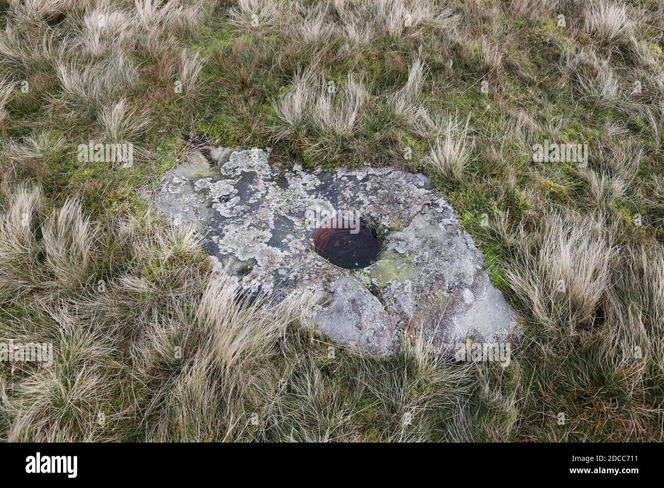 Antike Tasse und Ring markiert Stein auf Eel Hill, Barningham Moor, Barningham, Teesdale, County Durham, Großbritannien Stockfoto