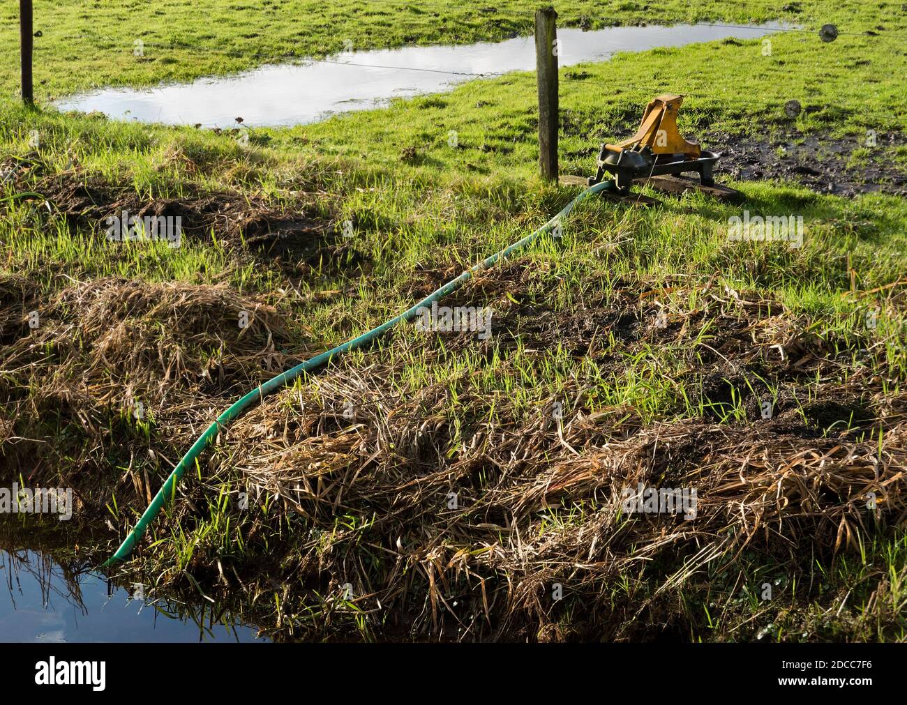 Weidepumpe liefert Trinkwasser aus einem Graben für Vieh auf einer Wiese Stockfoto