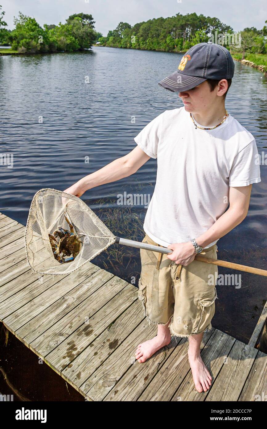 Louisiana St. Tammany Parish Northshore, Slidell, Liberty Bayou, Krabbenfischen Teenager Junge Pier Netz gefangen Krabbe, Stockfoto