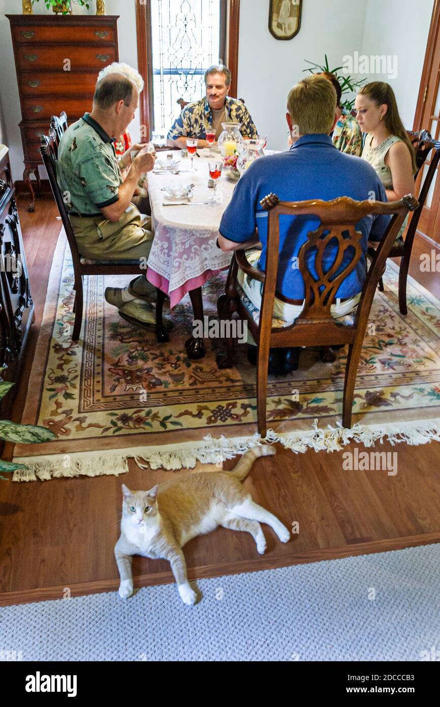 Louisiana St. Tammany Parish Northshore, Slidell Garden Guest House Bed & Breakfast-Unterkunft, Innen Esszimmer Tisch Gäste Katze Haustier, Stockfoto