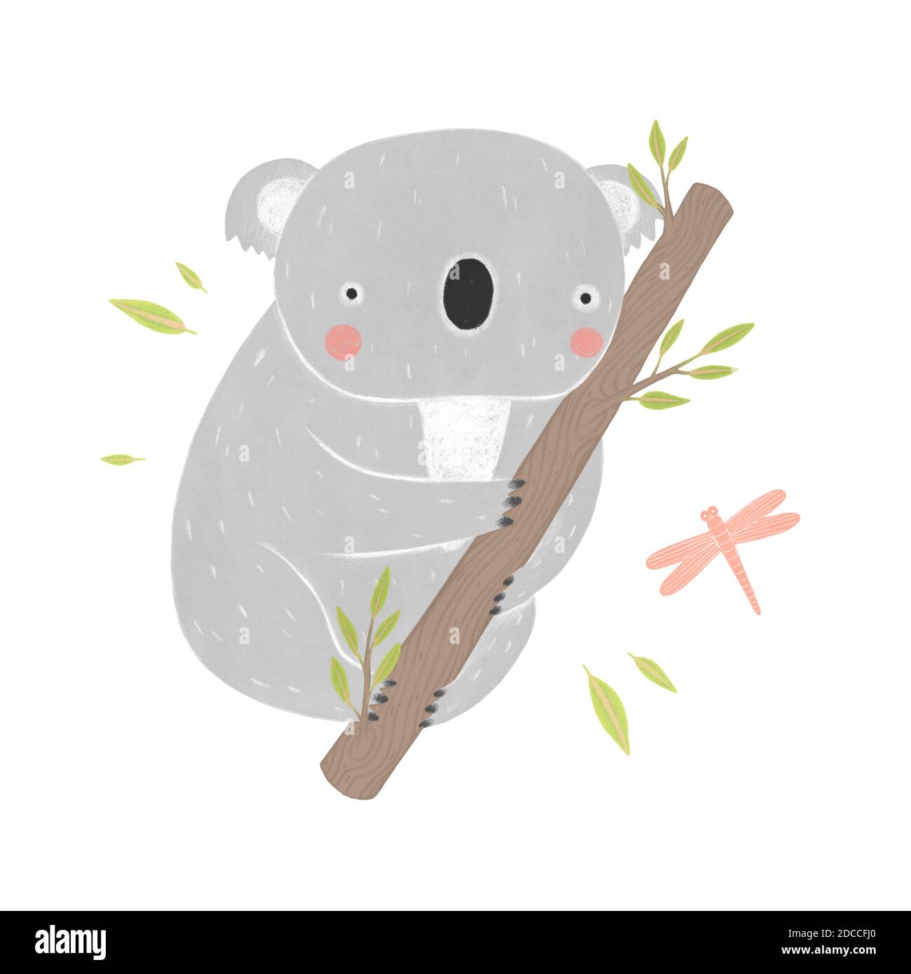 Koala sitzt auf Eukalyptusbaum auf weißem Hintergrund. Handgezeichnete Cartoon-Figur Stockfoto