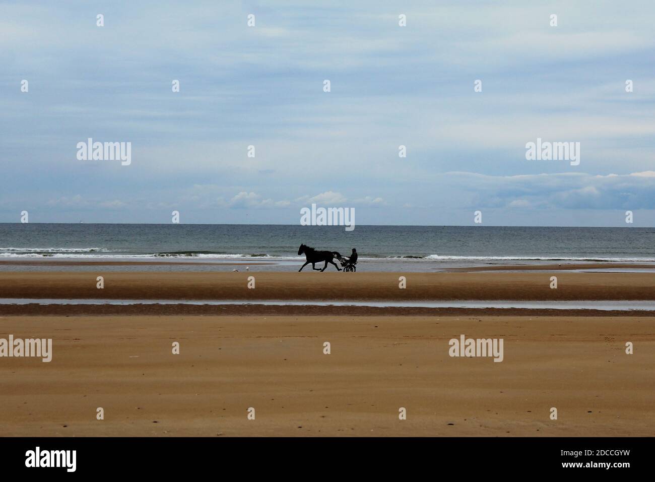 Ein Sulky am Strand von Omaha Beach, Normandie, Frankreich Stockfoto