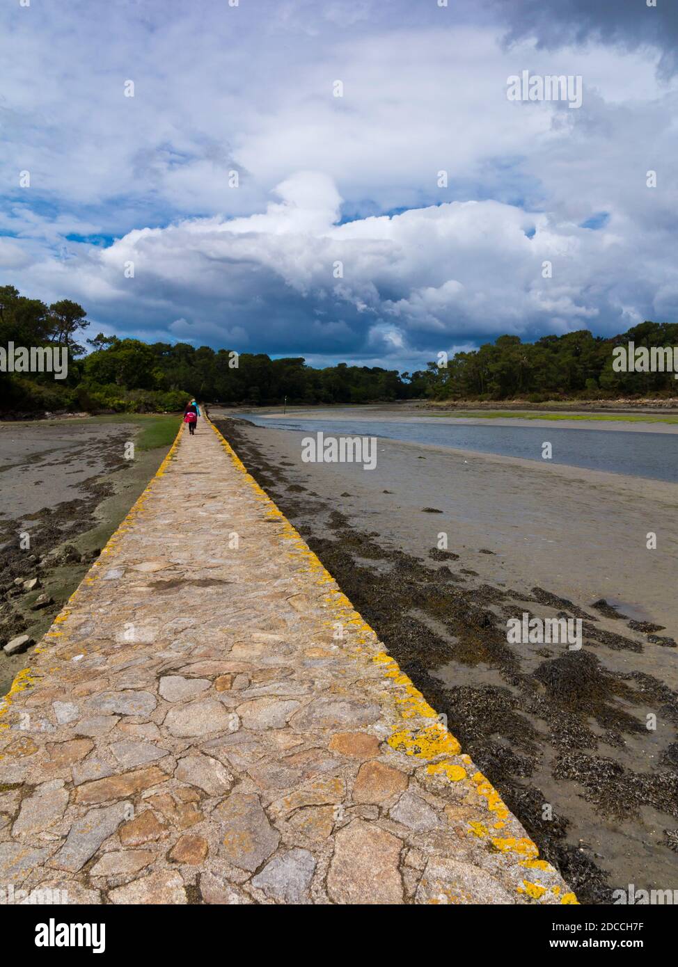 Causeway an der Mündung des Pont L'Abbe Flusses in Finistere Bretagne Nordwesten Frankreich. Stockfoto