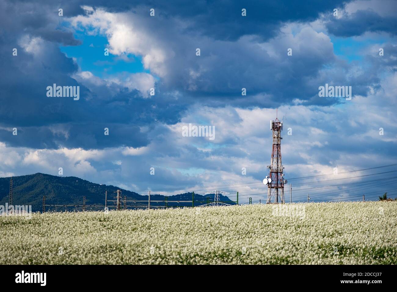 Telecom anntena Turm in einer Wiese gegen einen blauen Himmel. Mobiles Broadcast-Konzept und leerer Kopierraum. Stockfoto