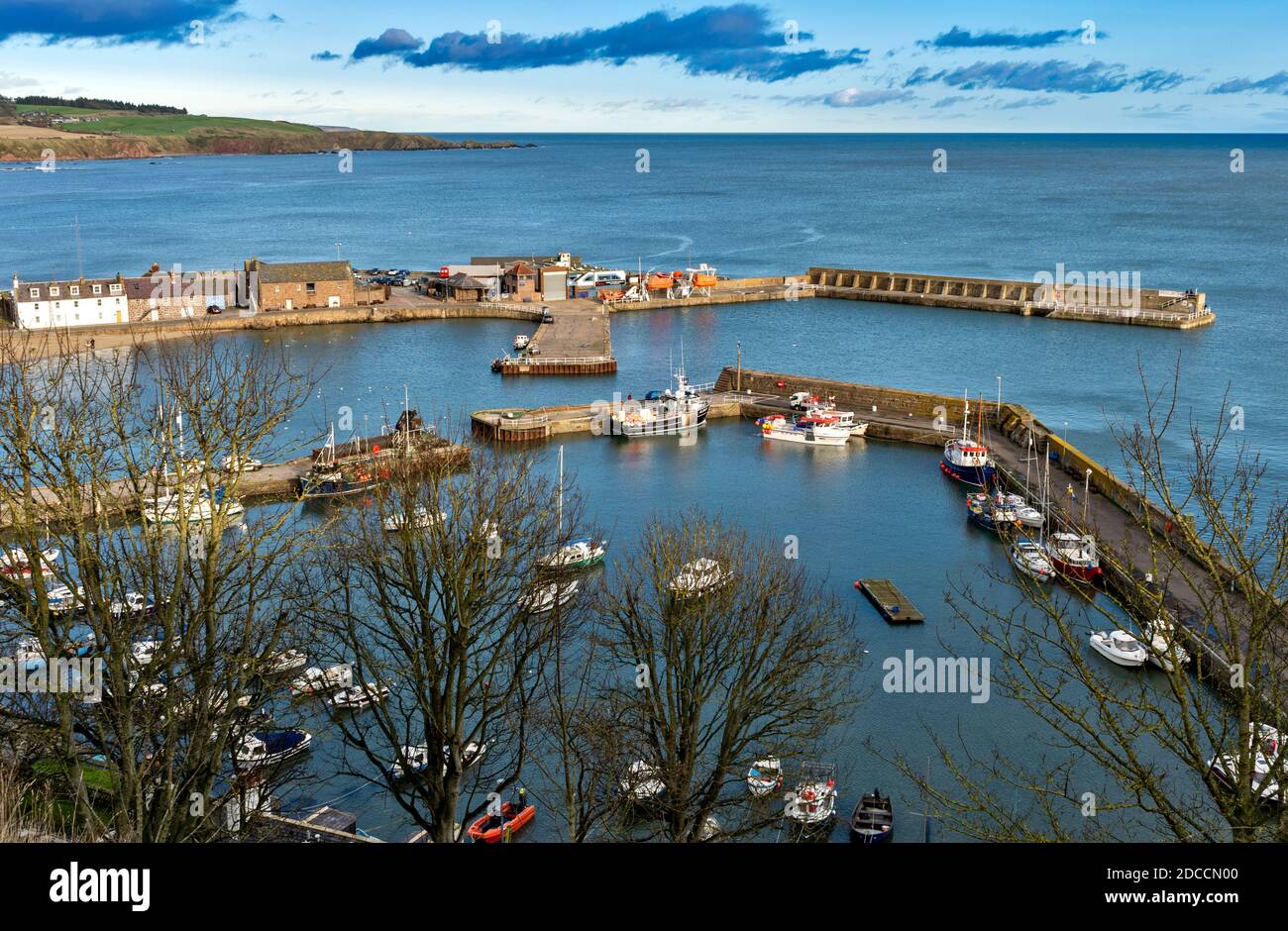 STONEHAVEN ABERDEENSHIRE SCHOTTLAND DER HAFEN VON COWIE UND FESTGETÄUTE BOOTE SIND UMGEBEN BEI BÄUMEN IM WINTER Stockfoto