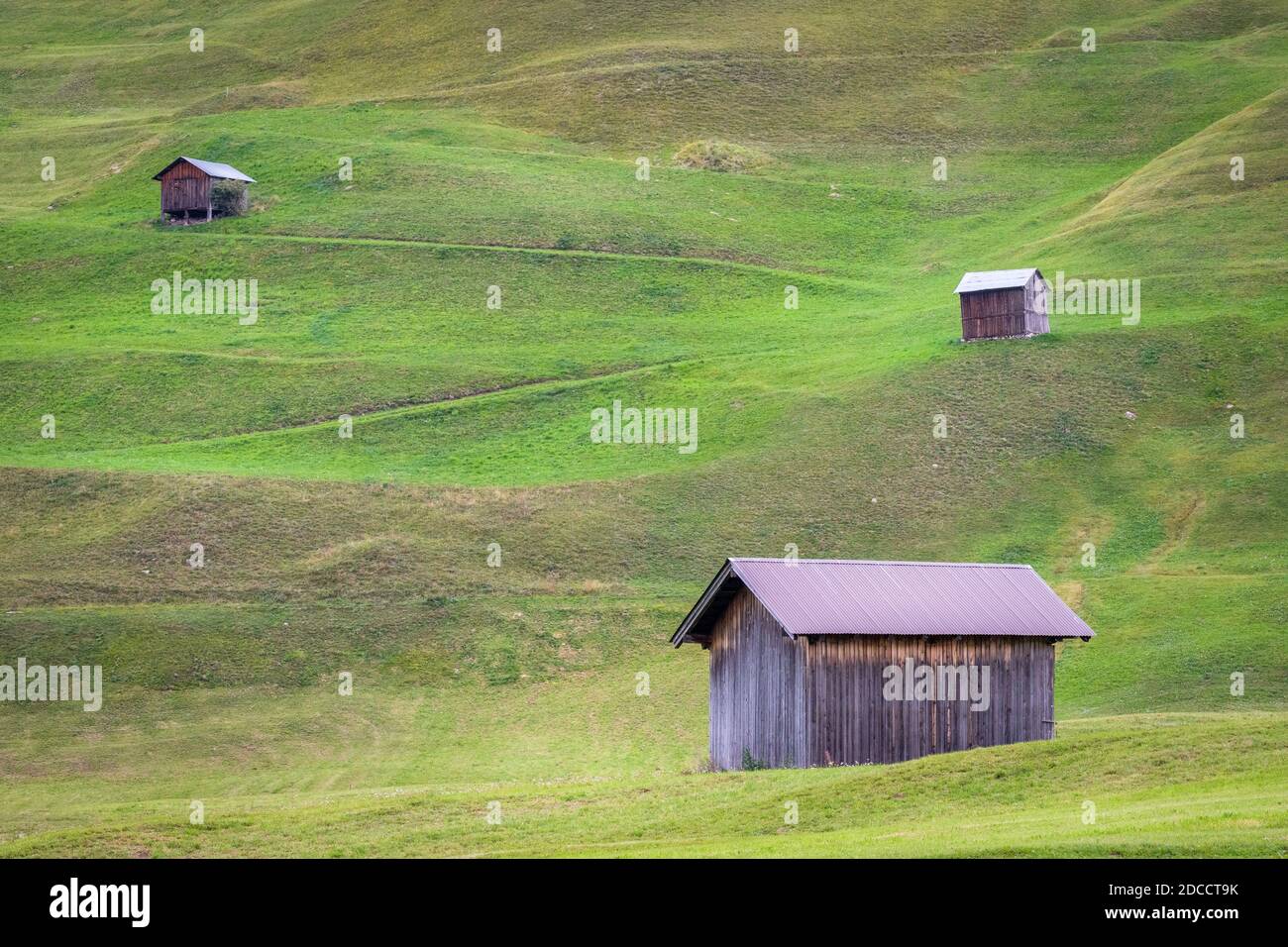 Drei Holzhäuser mit Welldächern in grünen Feldern vor den Toren Nauders (Tirol, Österreich). Italien und die Schweiz sind nahe. Stockfoto