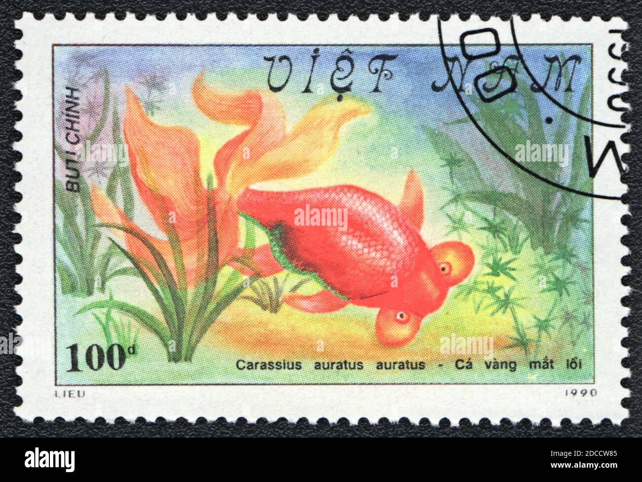 Eine in Vietnam gedruckte Marke zeigt einen Fantail-Teleskop-Goldfisch (Carassius auratus auratus), Serie 'Goldfisch', 1990 Stockfoto
