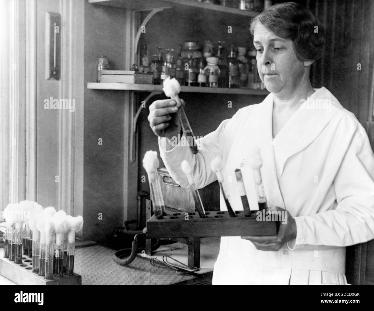 Alice Evans, Amerikanische Mikrobiologin Stockfoto