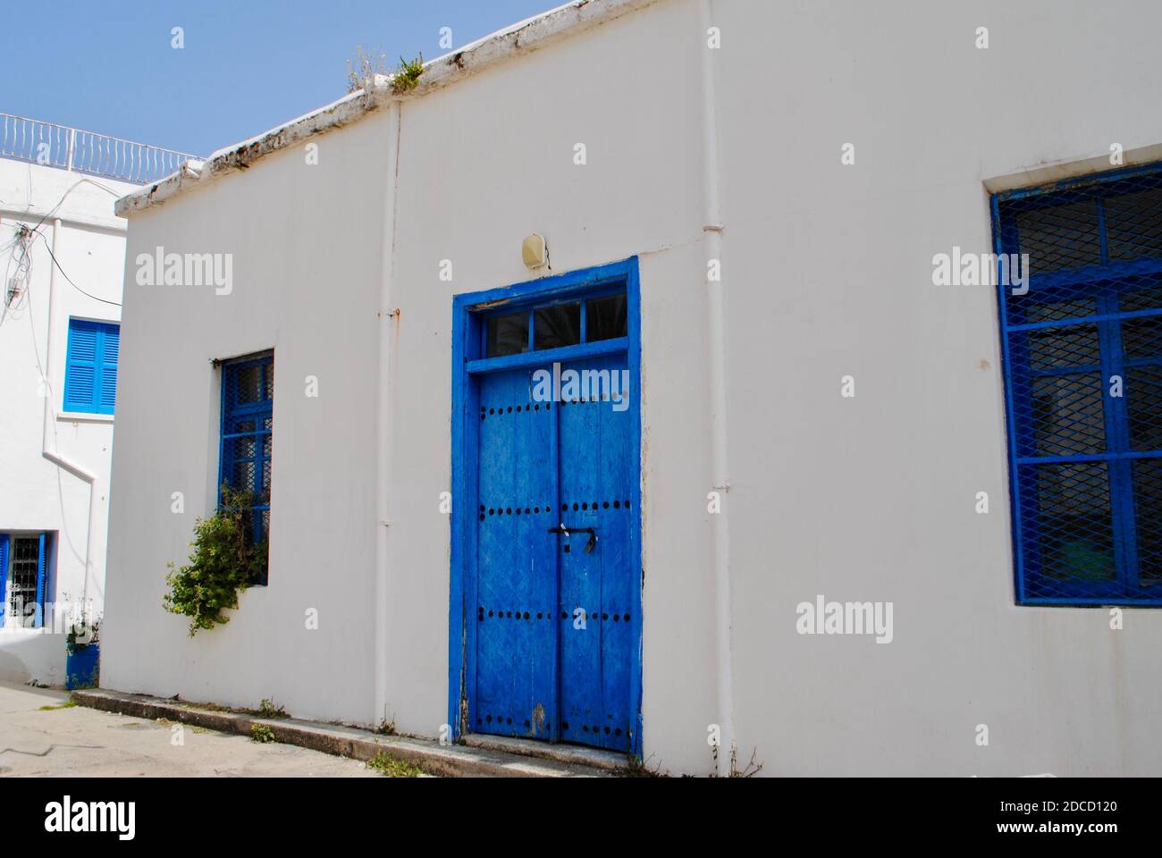 Traditionelles zypriotisches Haus mit weißer Wand, blauer Tür und Fenstern, die mit blühenden Pflanzen dekoriert sind. Girne, Kyrenia, Nordzypern Stockfoto