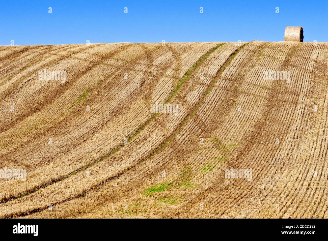 Ein geerntetes Feld, die Spuren von landwirtschaftlichen Fahrzeugen sichtbar in den Stoppeln und mit einem einzigen Ballen Stroh links sitzen auf dem Kamm des Hügels. Stockfoto