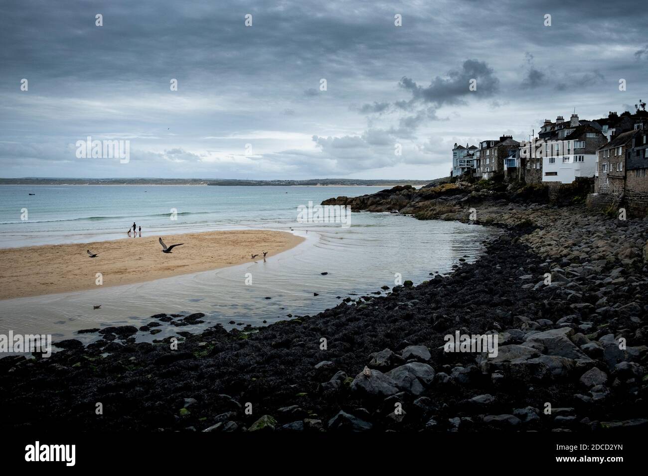 Touristen und Möwen am Strand, St. Ives Hafen, cornwall, großbritannien Stockfoto