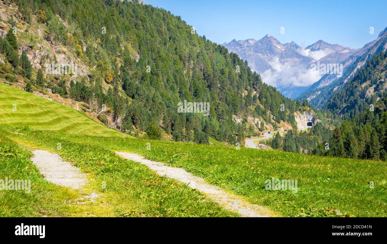 Grüne Felder in der Nähe des idyllischen Bergsteigerdorfes Vent im Ötztal (Tirol, Österreich), umgeben von Bergen wie der Wildspitze (3,774 m) Stockfoto