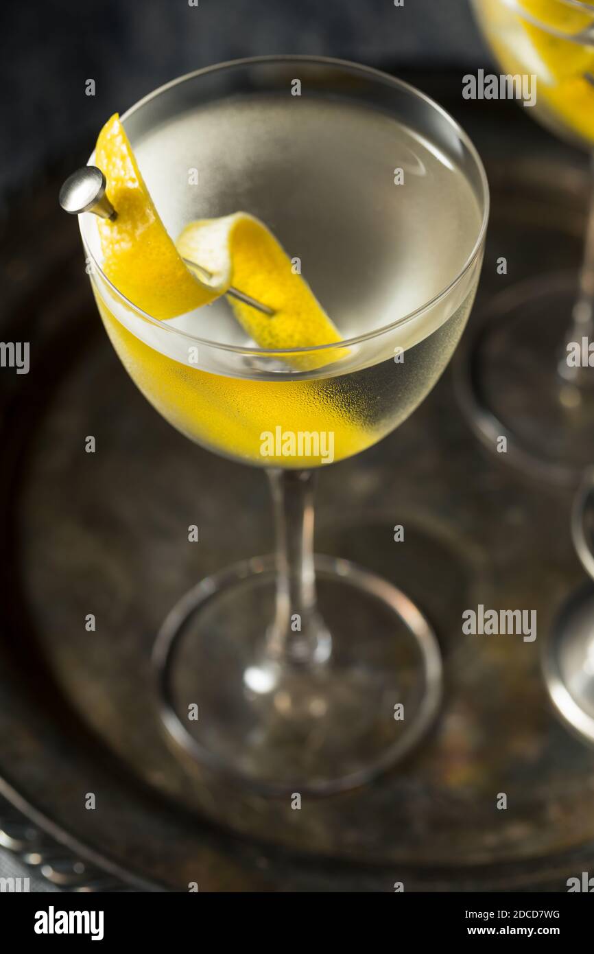 Boozy Lemon Dry Gin Martini mit Wermut Stockfoto