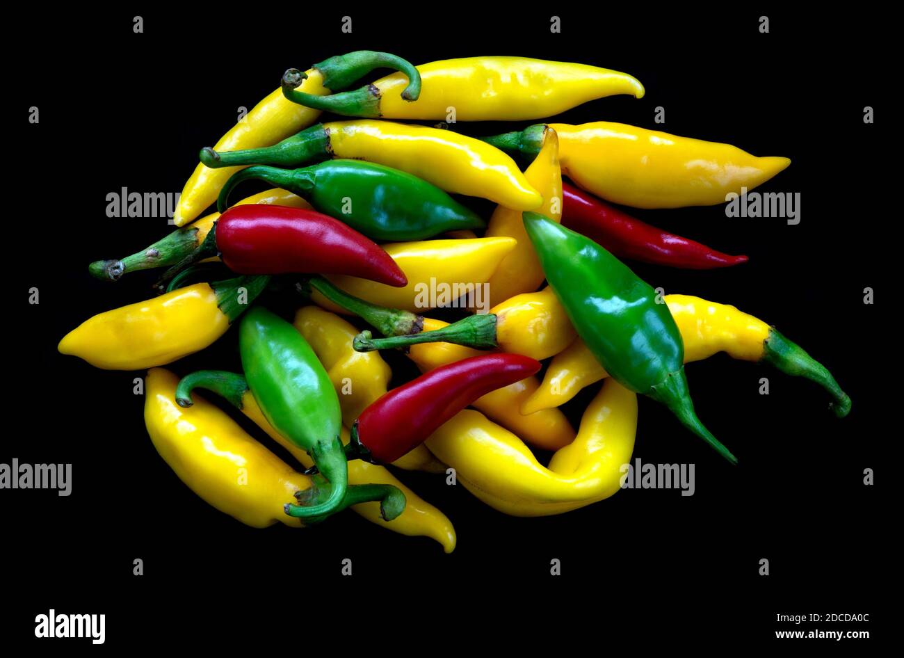 Mehrfarbige Chilischoten auf schwarzem Hintergrund Stockfoto