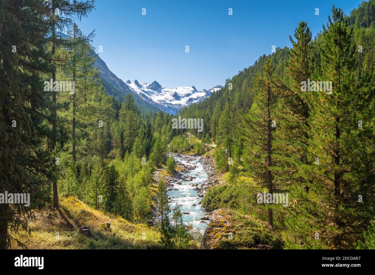 Wunderschöne Natur des Roseg-Tals im September. Es ist ein Tal der Schweizer Alpen, auf der Nordseite der Berninabahn in Graubünden Stockfoto