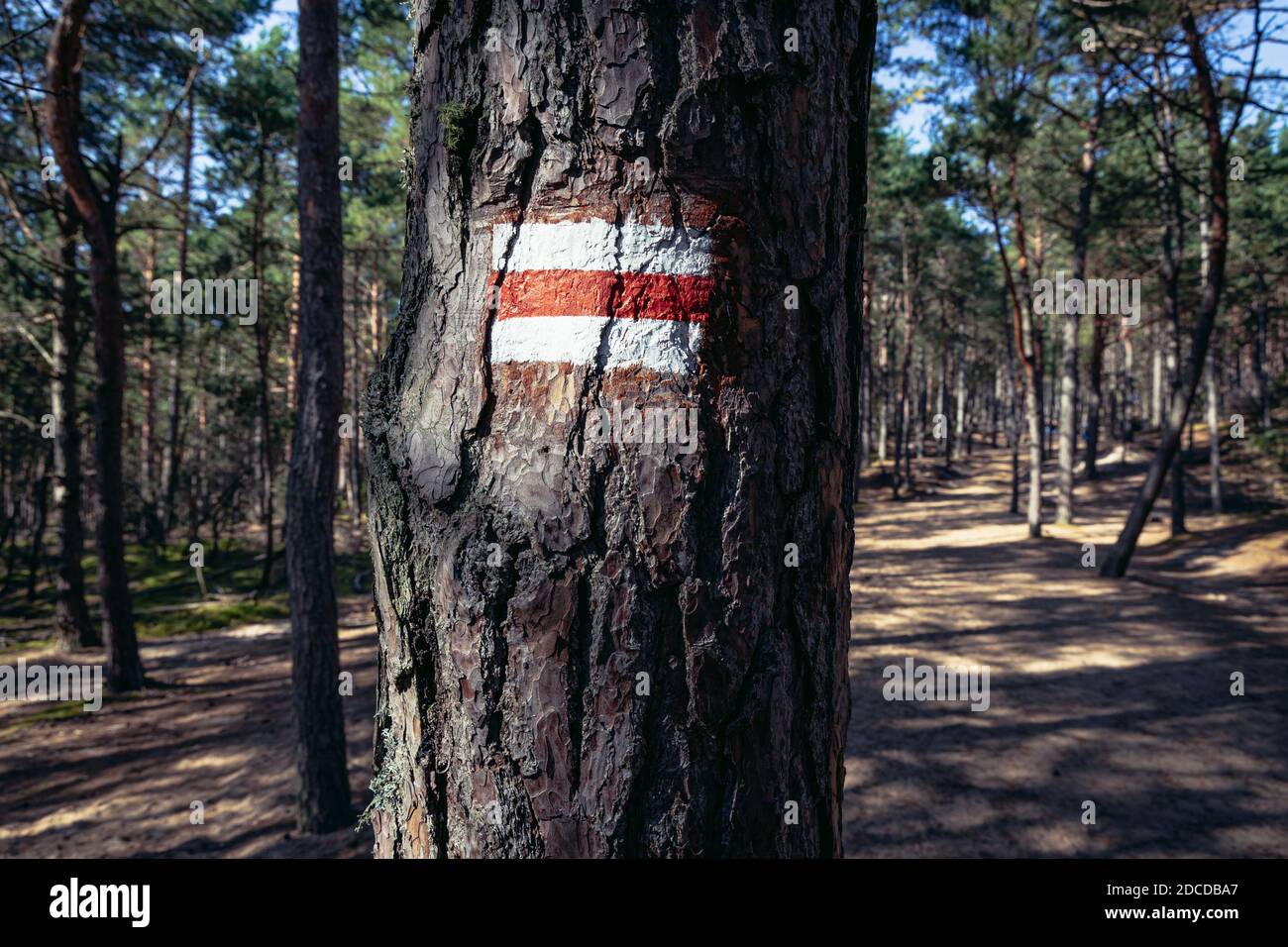 Wanderzeichen auf Mierzeja Sarbska Landschaftsschutzgebiet im Bereich der Spucken trennen See Sarbsko von der Ostsee, Polen Stockfoto