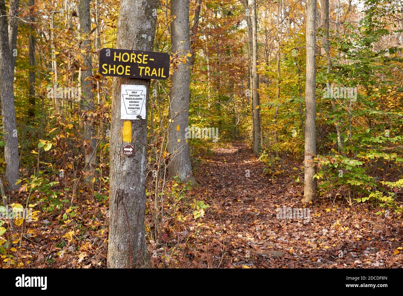 Der berühmte Horseshoe Trail im French Creek State Park in Chester County, Pennsylvania, USA. Beachten Sie die gelbe Farbe blases. Stockfoto