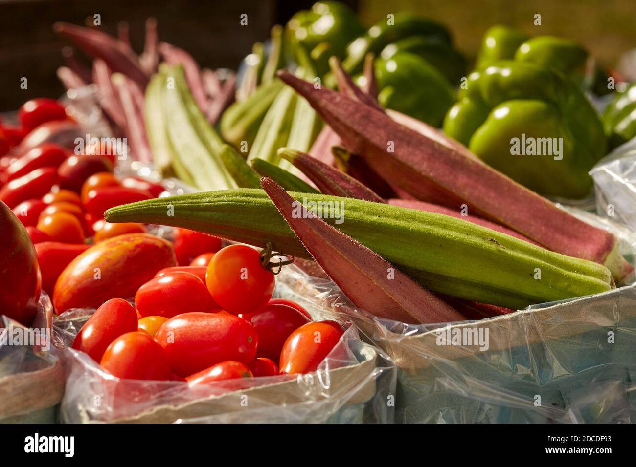 Frisches, reifes, sommerliches Gemüse auf einem Bauernmarkt in der Finger Lakes-Region des Staates New York. Stockfoto