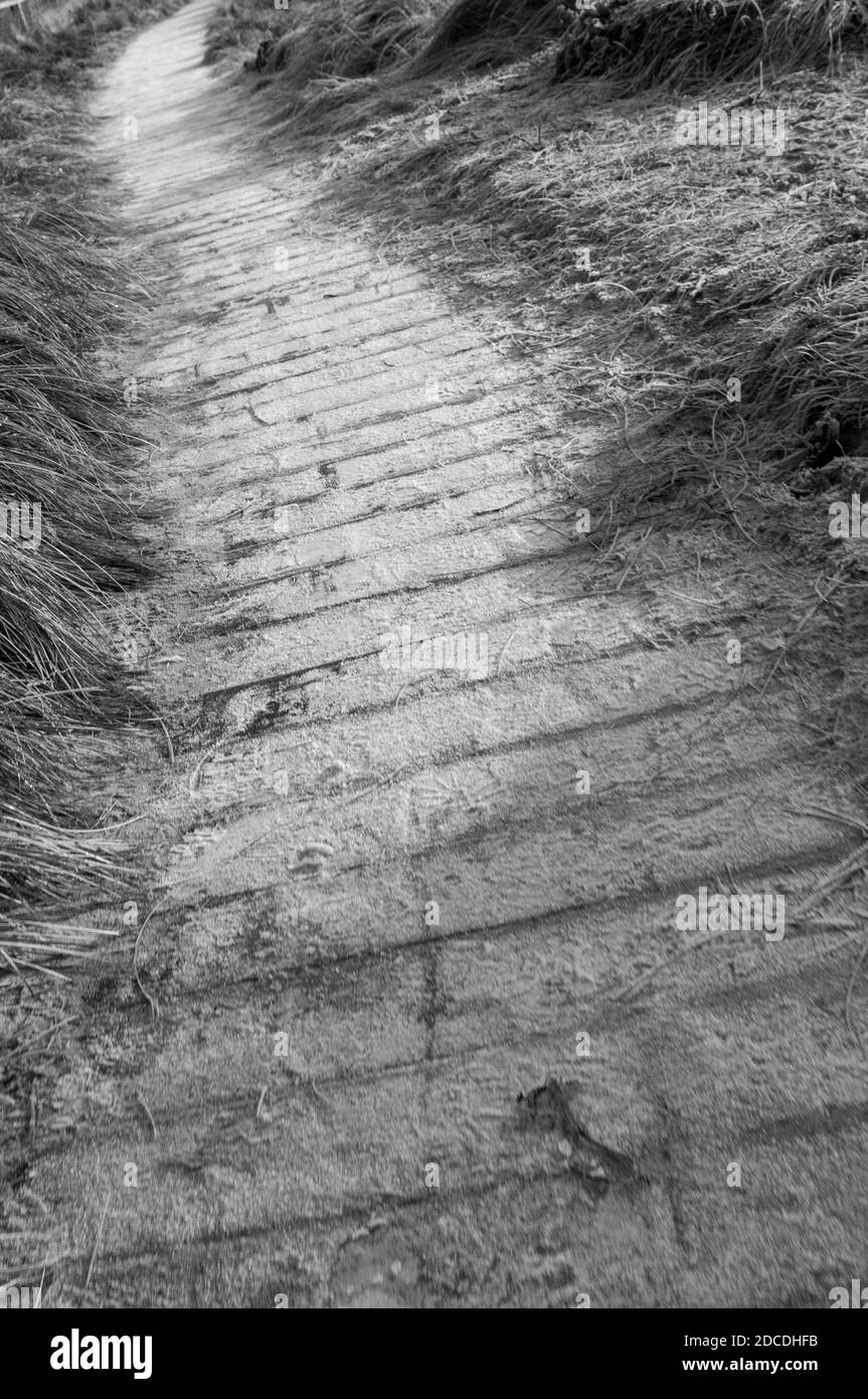 Gewundene Holzpromenade am Meer Stockfoto