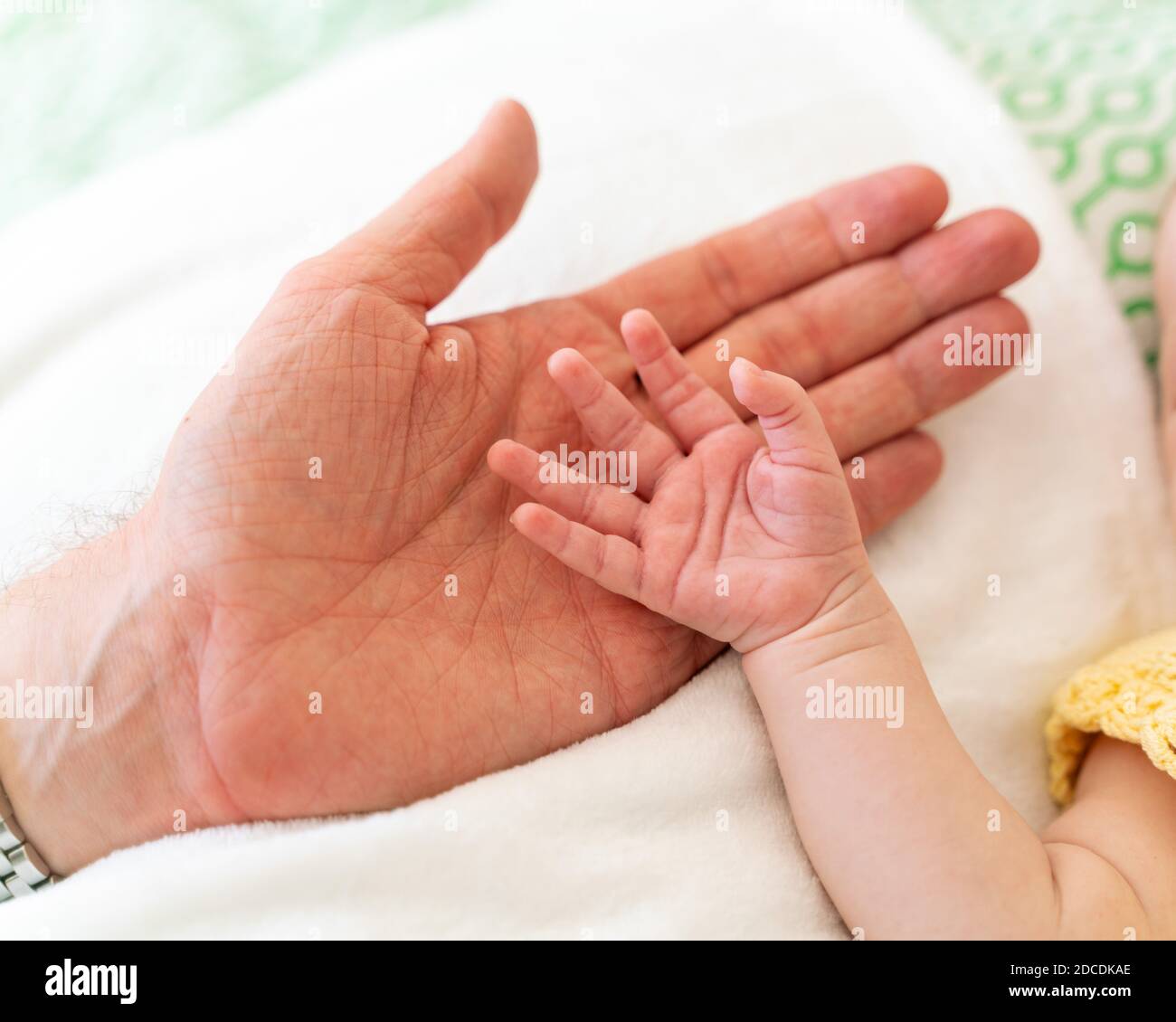 Kleine, niedliche Hand eines kaukasischen neugeborenen Mädchens/Jungen mit rosa Haut, die offen in der Hand seines Vaters oder seiner Mutter liegt und die Zeit miteinander genießt Stockfoto