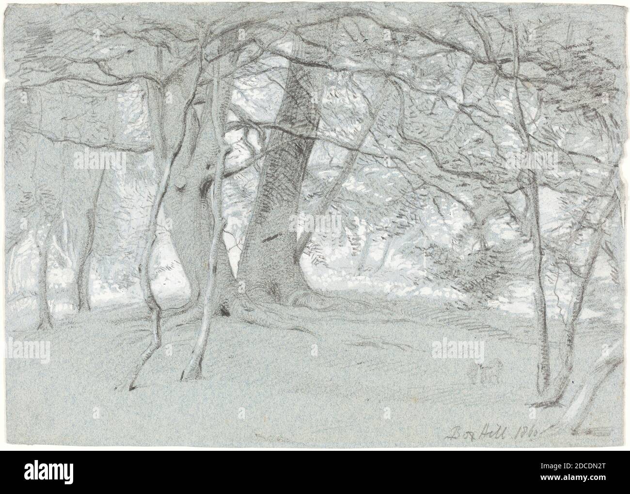 Sir William Blake Richmond, (Künstler), britisch, 1842 - 1921, Trees at Box Hill, 1860, schwarze Kreide und Graphit mit Weiß auf blauem Wove-Papier verstärkt, insgesamt: 13.4 x 18.8 cm (5 1/4 x 7 3/8 Zoll Stockfoto