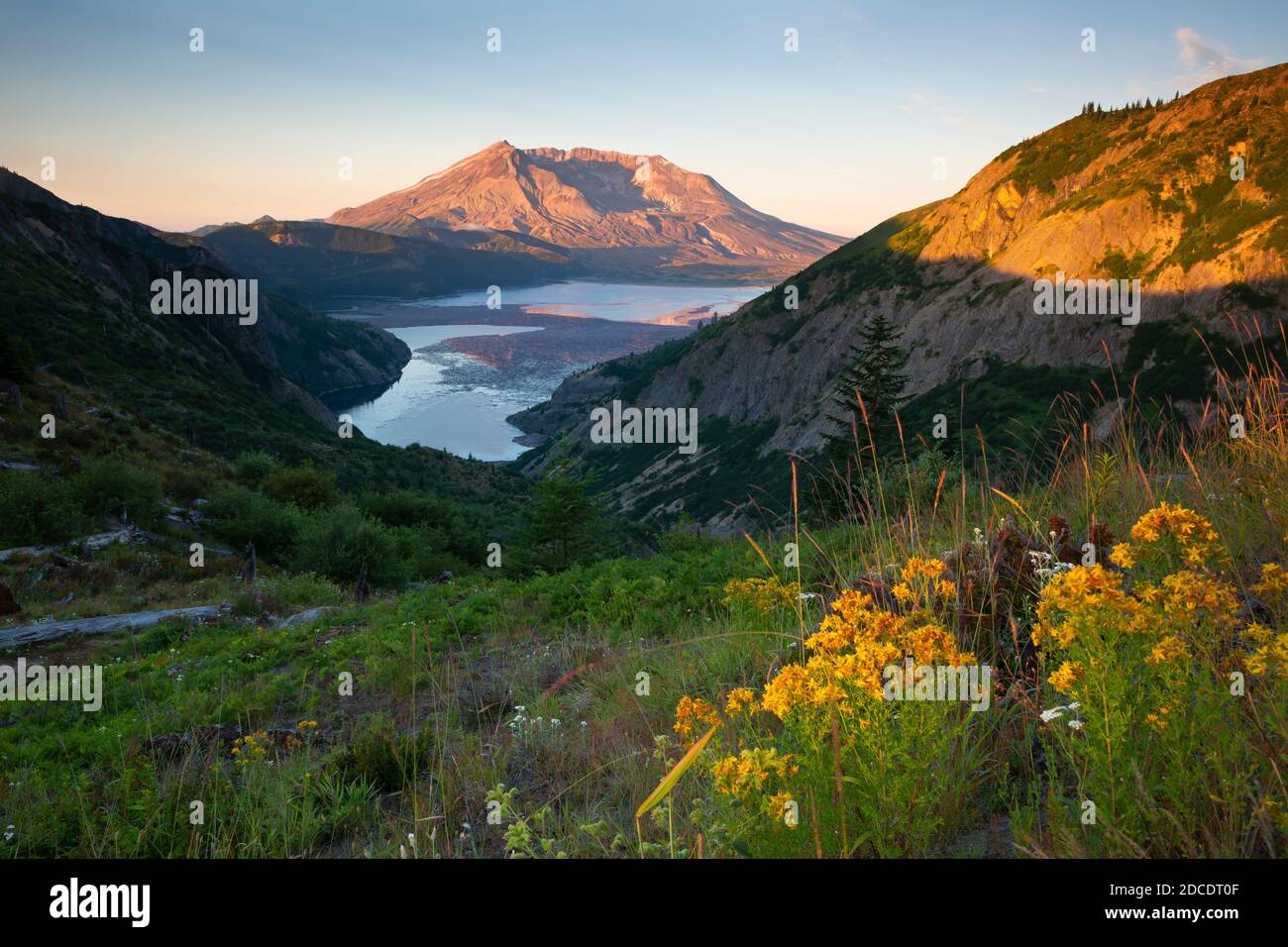 WA18327-00...WASHINGTON - frühmorgendlicher Blick auf Spirit Lake und Mount St. Helens vom Norway Pass, 40 Jahre bei der Eruption, in Mount St. Helens Nati Stockfoto