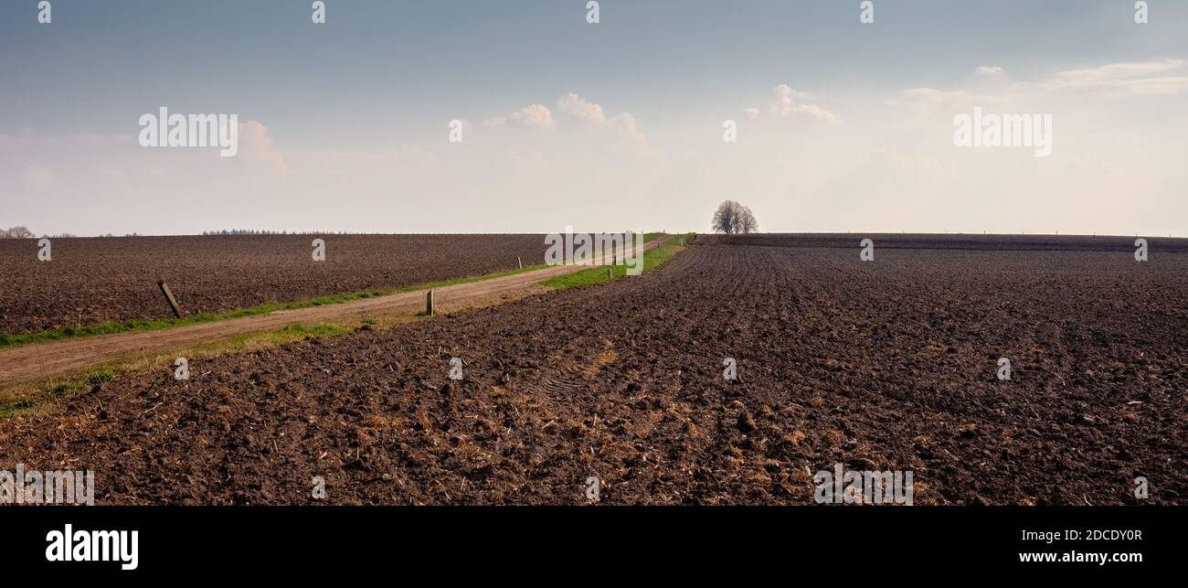 Karges Ackerland und typisch holländische Landschaft in der Nähe der Stadt Den Ham in der Region Twente (Overijssel, Niederlande) im April im Frühling. Stockfoto