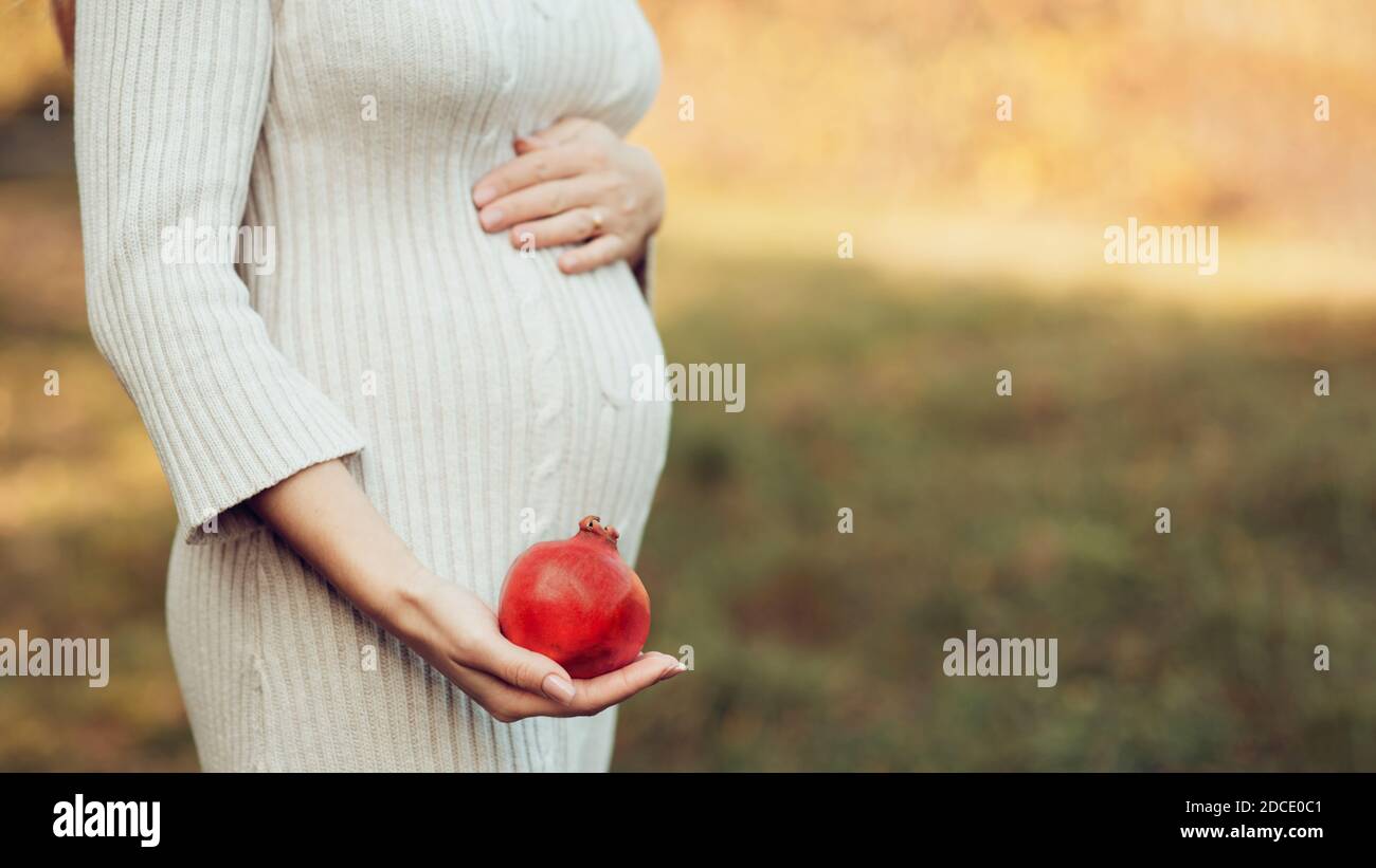 Schwangere junge Frau mit Granatapfel. Foto des fetalen Wachstums 21 Wochen Schwangerschaft. Gesunde Schwangerschaft Ernährung. Fruchtbarkeitskonzept. Platz für Text Stockfoto