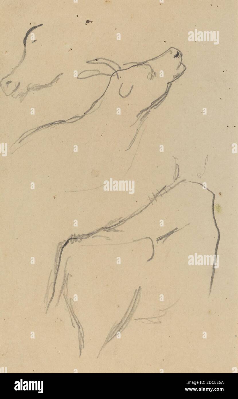 Paul Gauguin, (Künstler), Französisch, 1848 - 1903, Studien einer Kuh, Bretonisches Skizzenbuch, Nr. 16, (Serie), 1884-1888, Graphit auf webtem Papier, insgesamt: 16.9 x 12.6 cm (6 5/8 x 4 15/16 Zoll Stockfoto