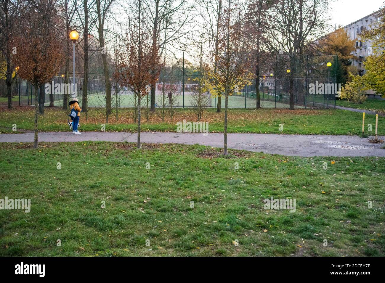 Posen, Wielkopolska, Polen. November 2020. Alltag während einer Coronavirus-Pandemie in Posen, Polen. Ganz Polen ging ab dem 24. Oktober in die Rote Zone, was neue Beschränkungen gegen Covid-19 bedeutete, die noch in Kraft sind. Auf dem Bild: Mit dem Hund spazieren. Quelle: Dawid Tatarkiewicz/ZUMA Wire/Alamy Live News Stockfoto