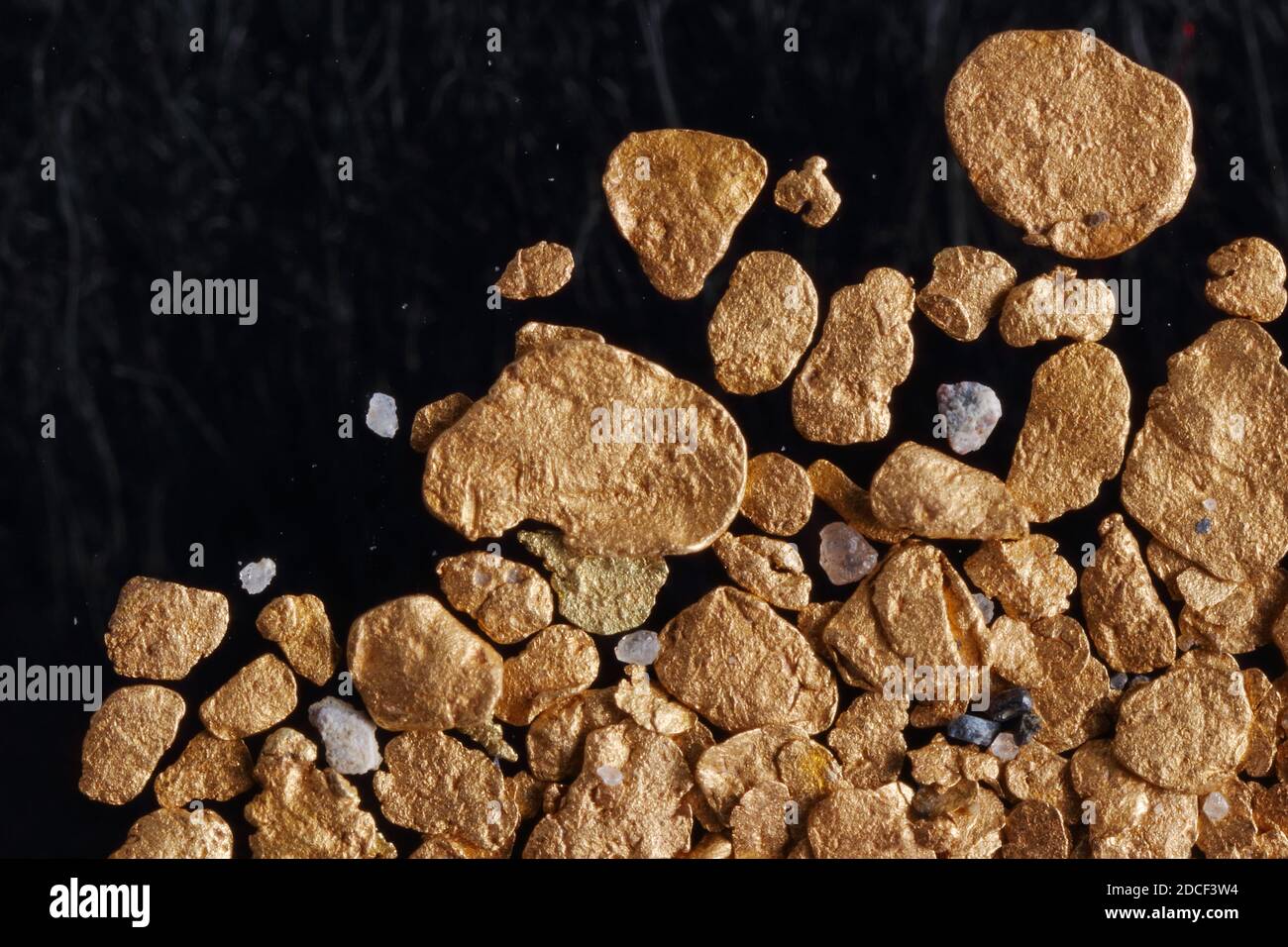 Makrofoto von rohem Alluvialplaziergold. Kleinere rohe Edelsteine, Platin- und schwarzer Sand, der üblicherweise mit Gold abgelagert wird, sind ebenfalls abgebildet. Stockfoto