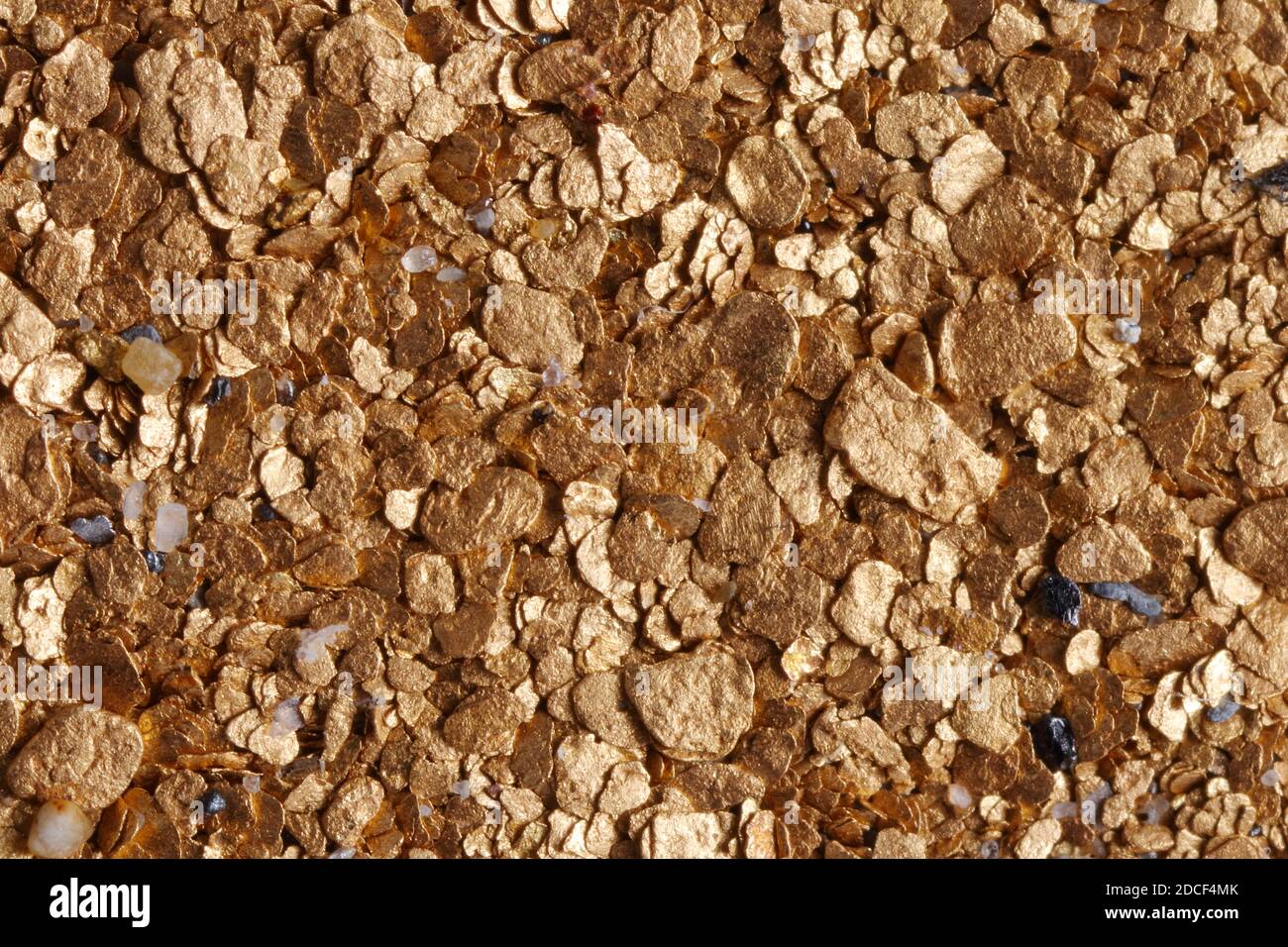 Makrofoto von rohem Alluvialplaziergold. Kleinere rohe Edelsteine, Platin- und schwarzer Sand, der üblicherweise mit Gold abgelagert wird, sind ebenfalls abgebildet. Stockfoto