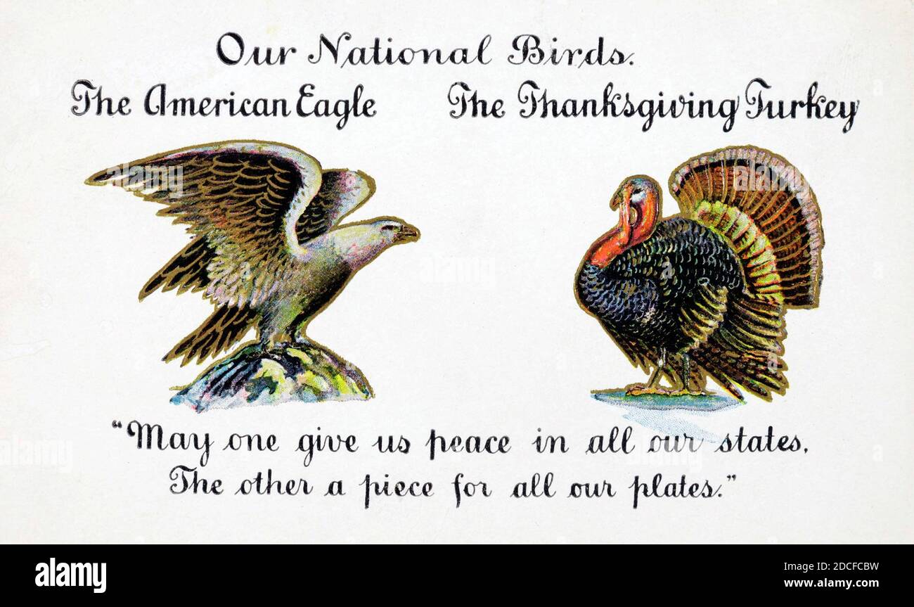 Unsere National Birds - der American Eagle und der Thanksgiving Turkey - der eine gibt uns Frieden in allen unseren Staaten, der andere ein Stück für alle unsere Teller - Vintage Postkarte Stockfoto