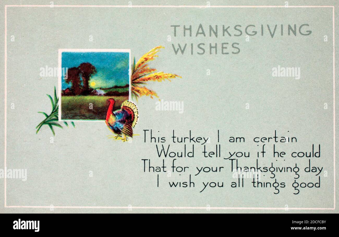 Die Türkei Ich bin sicher, würde Ihnen sagen, wenn es könnte, dass für Ihren Thanksgiving-Tag, Ich wünsche Ihnen alles gute - Vintage Postkarte Stockfoto