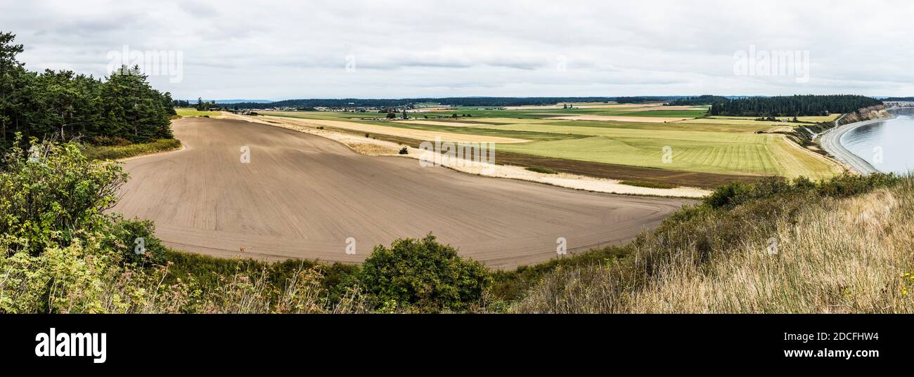 Die Felder bei Ebey's Landing auf Whidbey Island, Washington, USA. Stockfoto