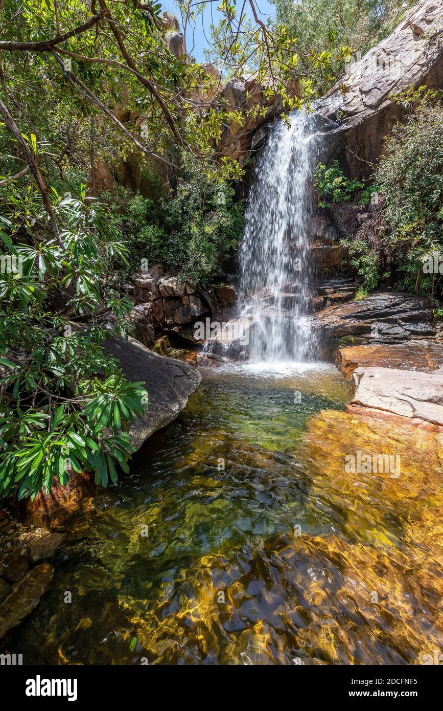Kaskadierwasser am Boulder Creek mit üppigem Buschland-Grün und umgestürzten Bäumen im tropischen Northern Territory am oberen Ende Australiens. Stockfoto