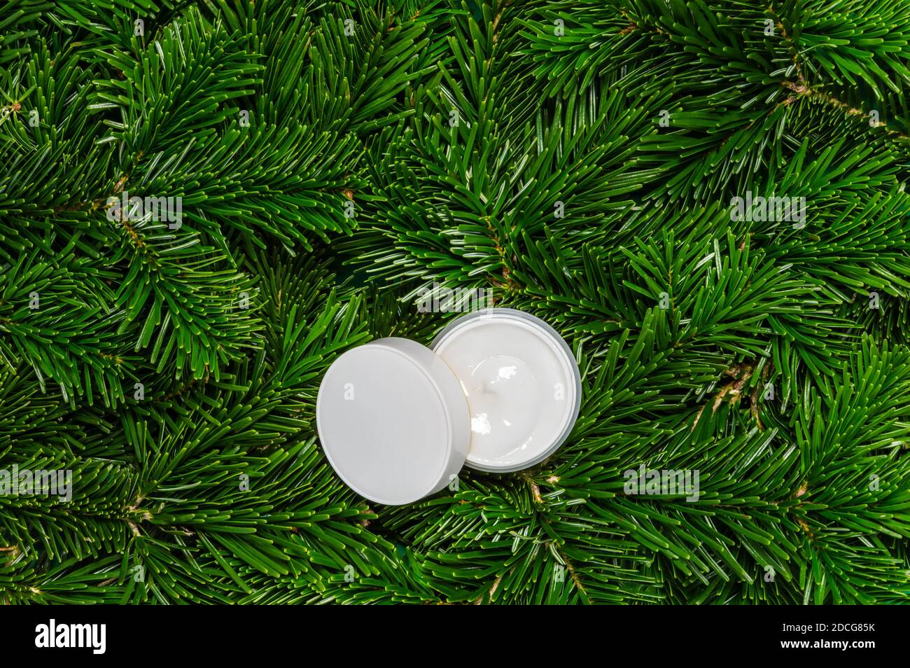 Weiße offene Creme Glas oder Körperlotion auf Tannenbaum Zweige Hintergrund. Natürliches organisches kosmetisches Produkt. Winterpflege und Spa-Behandlung Stockfoto