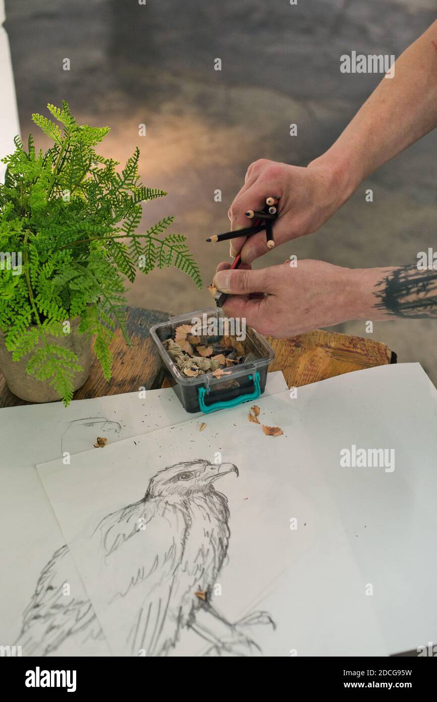 GROSSBRITANNIEN / England / London / Wild Life Drawing /Künstlerin und Wildlife Enthusiast Jennie Webber ist hinter Wildlife Drawing - Lebenszeichnen Klassen w Stockfoto